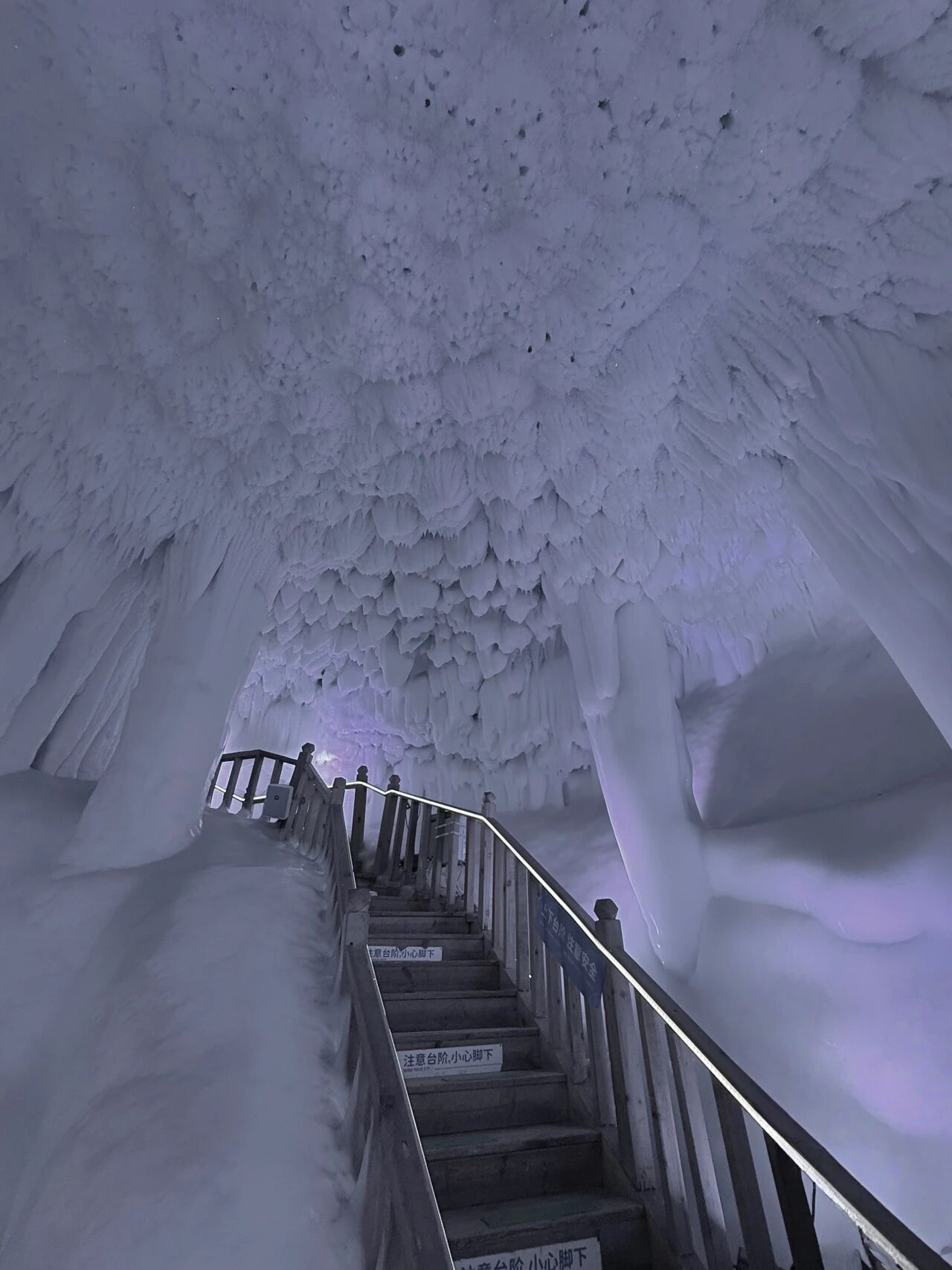 1763968437842409.jpg 微信圖片_2025-11-24_151333_945.jpg